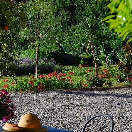 Agriturismo Coppi Rossi Torrazza  외부 사진