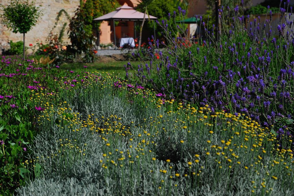 Agriturismo Coppi Rossi Torrazza  외부 사진