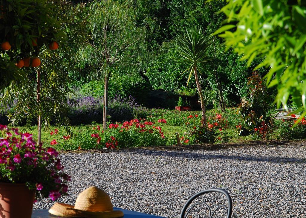 Agriturismo Coppi Rossi Torrazza  외부 사진