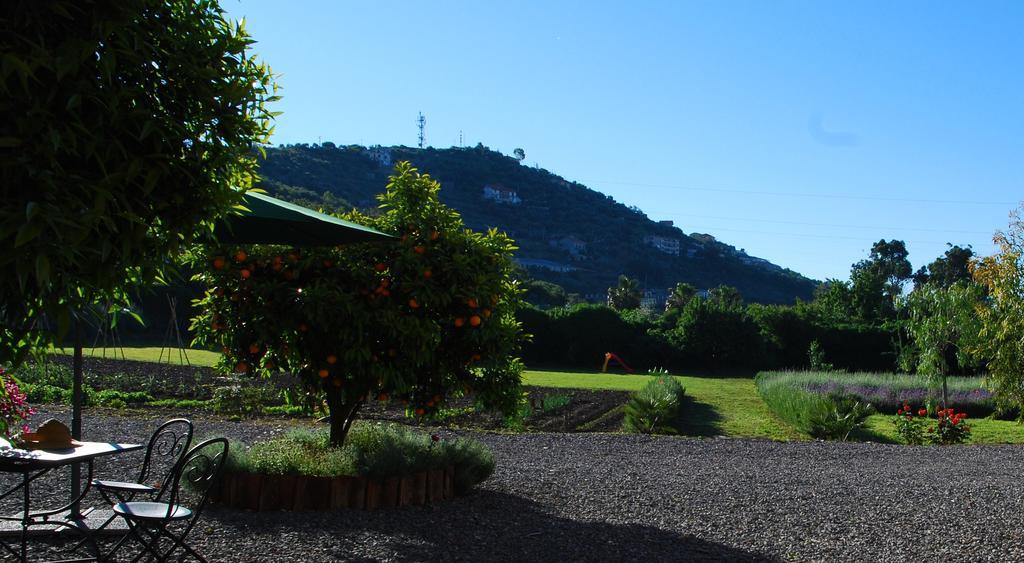 Agriturismo Coppi Rossi Torrazza  외부 사진